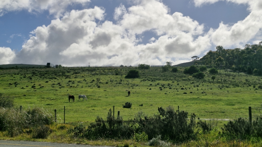 0 Bedroom Property for Sale in Baardskeerdersbos Western Cape